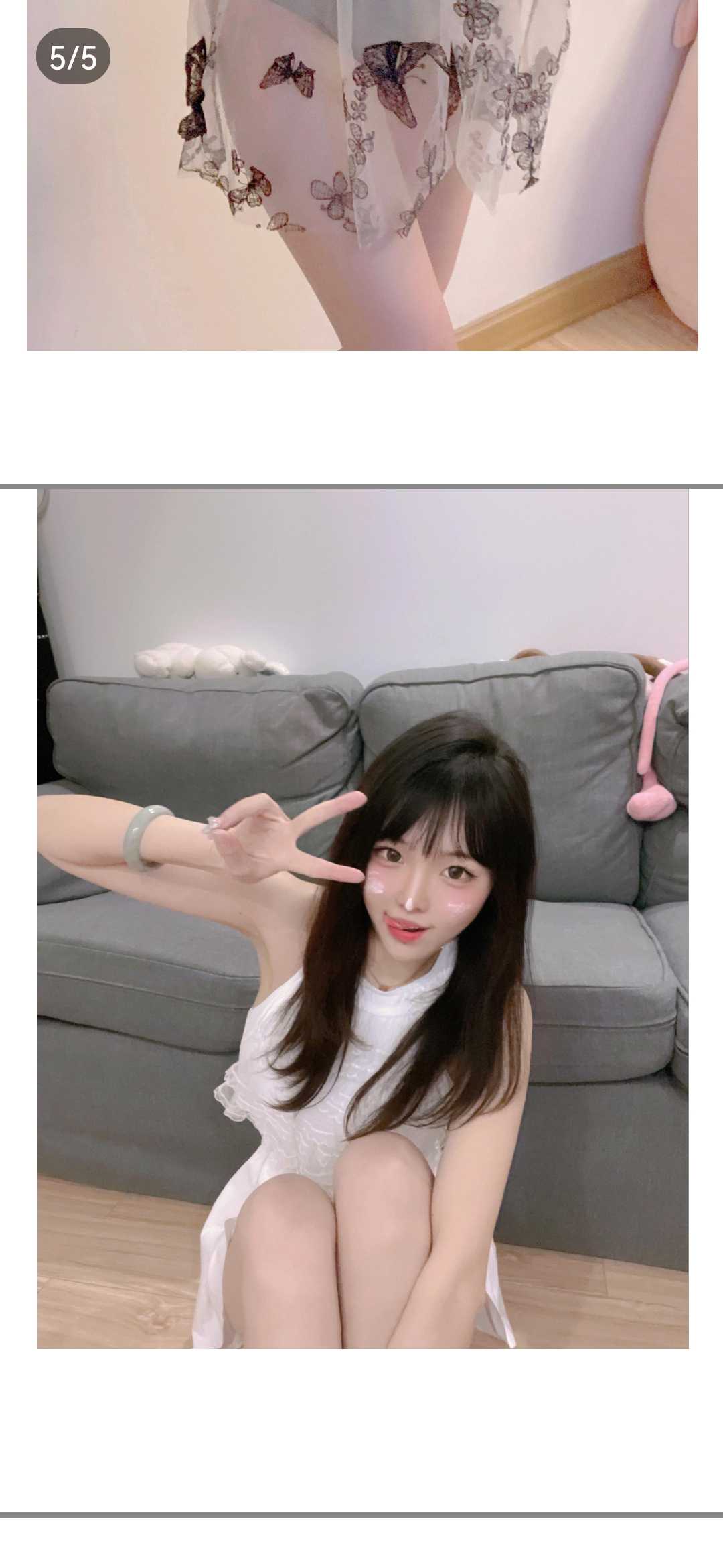 姑苏区俏皮小野猫