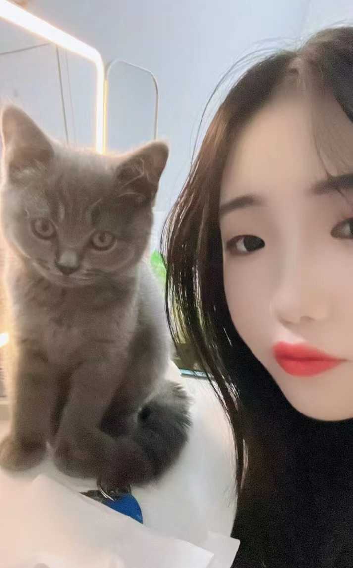 帝王式般的体验